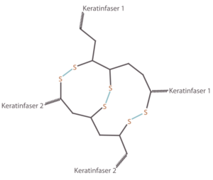 Структурная формула кератина с дисульфидными мостиками